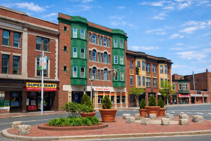 Mold Abatement Service in Chelsea, MA