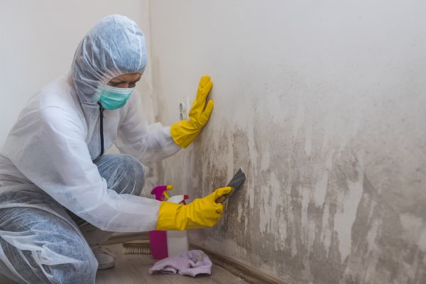 Mold Remediation - Mold Remediation Bedford, New Hampshire