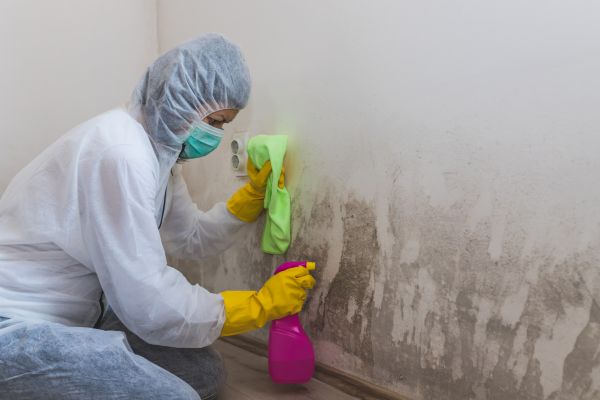 Home Mold Removal - Home Mold Removal Exeter, New Hampshire
