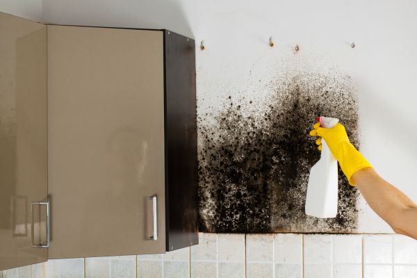 Kitchen Mold Removal - Kitchen Mold Removal Londonderry, New Hampshire