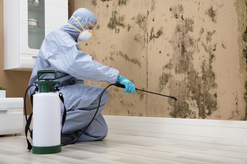 Mold Abatement Service