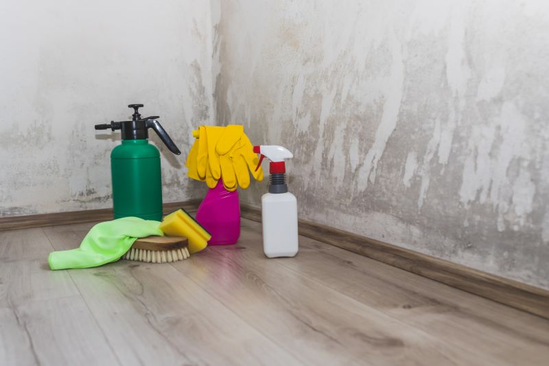Mold Mitigation Service