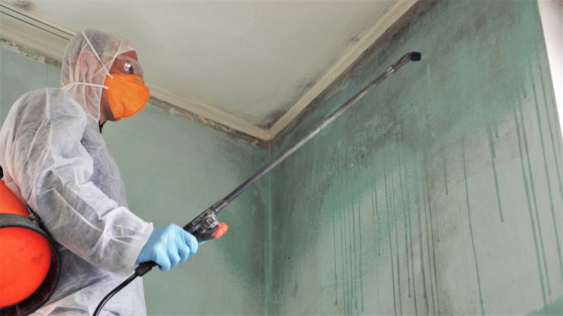 Mold Mitigation Service